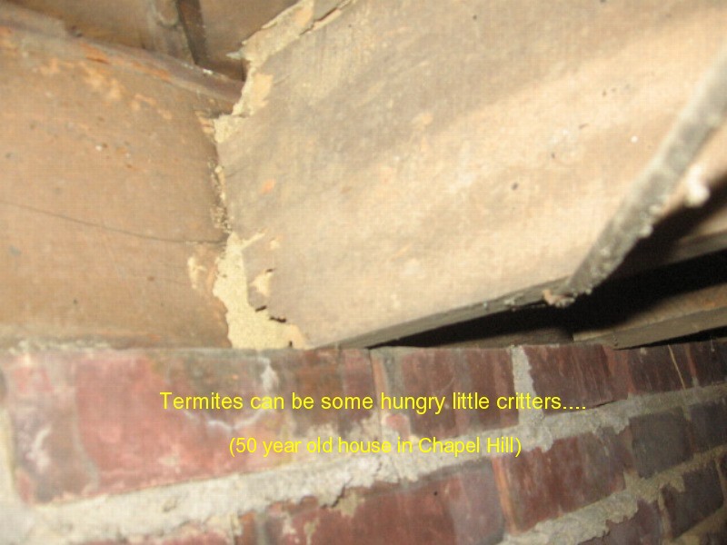Holland Home Inspections South Central Kentucky &mdash; HVAC inspection photo 19