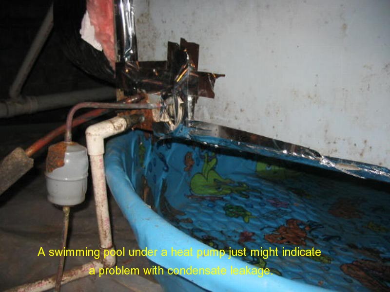 Holland Home Inspections South Central Kentucky &mdash; foundation inspection photo 27